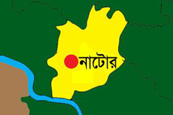 নাটোরে ভোটগ্রহণ কর্মকর্তাদের প্রশিক্ষণ