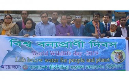 বগুড়ায় বিশ্ব বন্যপ্রাণী দিবস উপলক্ষে র‌্যালি