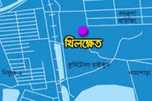 খিলক্ষেতে প্রাইভেটকারকে ধাক্কা দিয়ে উল্টে গেল বাস