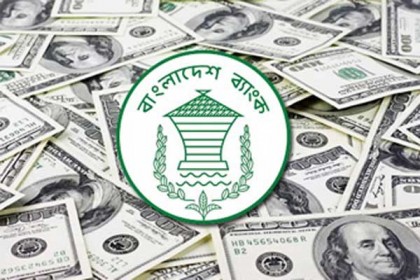 গত ৮ মাসে রেমিটেন্স বেড়েছে ১০ দশমিক ৩ শতাংশ