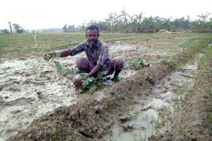 অকাল বৃষ্টিতে ভেসে গেছে কৃষকের স্বপ্ন