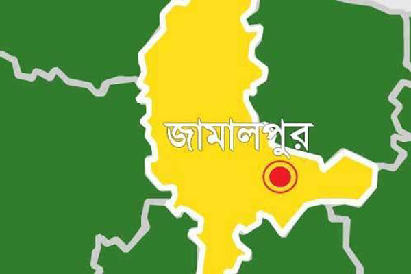 জামালপুরে ২টিতে স্বতন্ত্র, ১টিতে আওয়ামী লীগ জয়ী