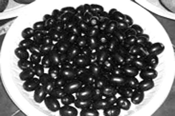 কালো জামের গুণাগুণ