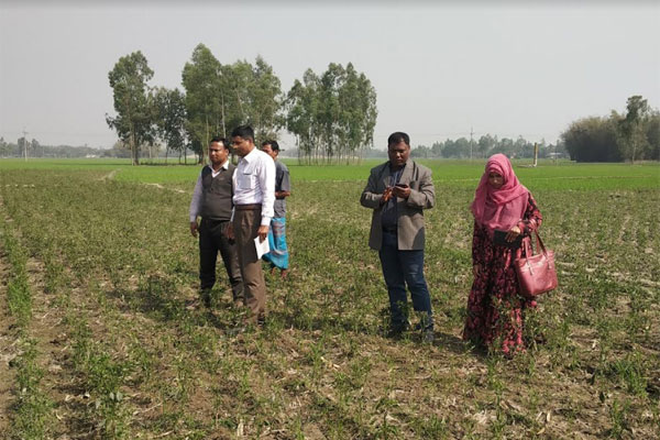 কোল্ড স্টোরেজের গ্যাসে ফসল নষ্ট, ক্ষতিপূরণের দাবি কৃষকদের