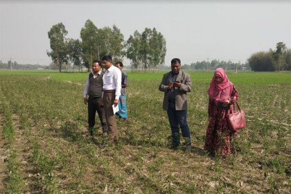 কোল্ড স্টোরেজের গ্যাসে ফসল নষ্ট, ক্ষতিপূরণের দাবি কৃষকদের