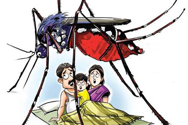 সাভারে মশার উৎপাতে অতিষ্ঠ জনজীবন