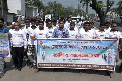 বরিশালে জাটকা সংরক্ষণ সপ্তাহ উপলক্ষে র‌্যালি