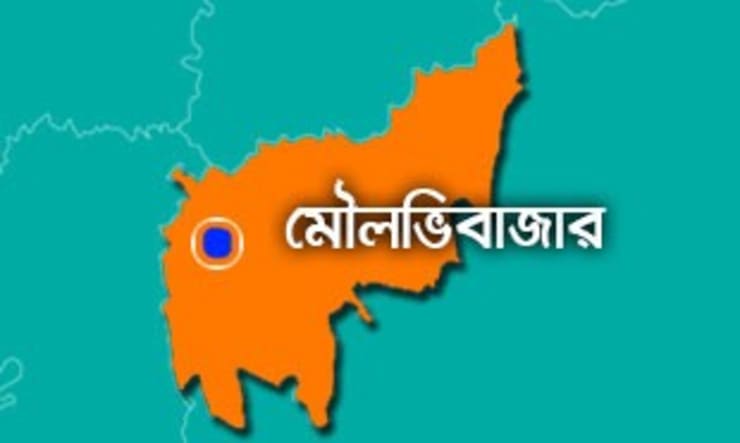 মৌলভীবাজারে ৩টিতে নৌকা, ৪টিতে স্বতন্ত্র প্রার্থীর জয়