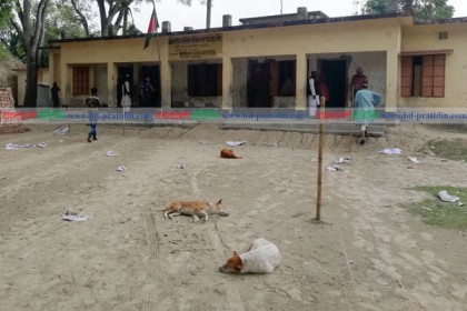 ফরিদপুরে ভোট কেন্দ্রগুলোতে ভোটার নেই