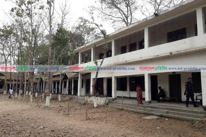শ্রীমঙ্গলে ভোটার উপস্থিতি খুবই কম