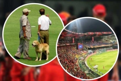 মাঠে বসেই আইপিএল দেখবে কুকুর, আরসিবি'র অভিনব উদ্যোগ