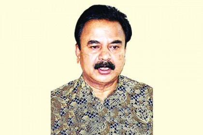 আরও পাখি উড়াল দেবে