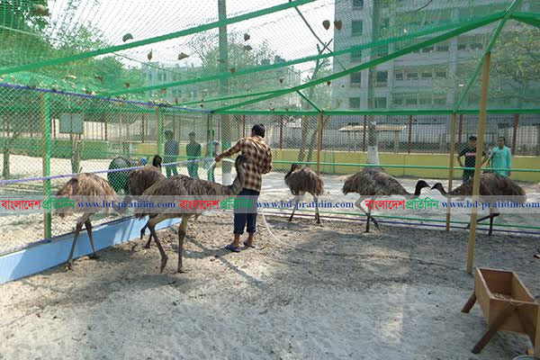 রংপুর চিড়িয়াখানায় নতুন অতিথি