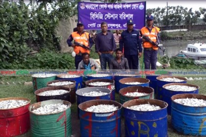 কীর্তনখোলা নদীতে ৪০ মণ জাটকাসহ আটক ২