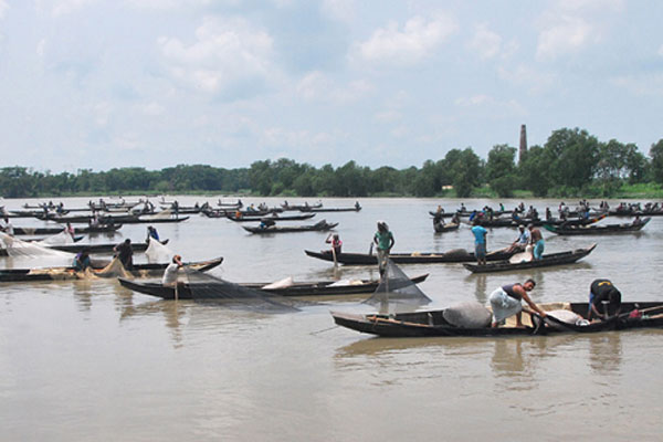হালদা নদীর মা মাছের দিকে ‘শকুনি দৃষ্টি’     