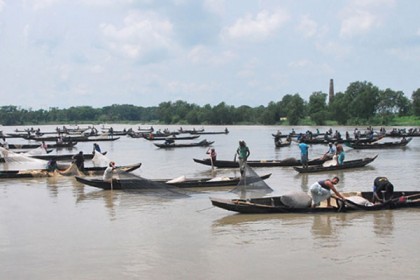 হালদা নদীর মা মাছের দিকে ‘শকুনি দৃষ্টি’     