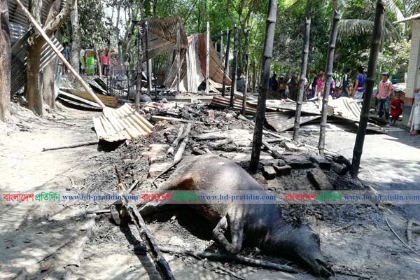 দুবৃর্ত্তের আগুনে পুড়লো বিধবা নারীর সহায়-সম্বল