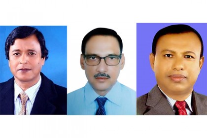 রাজবাড়ীর দুই উপজেলায় স্বতন্ত্র প্রার্থীর জয়, একটিতে নৌকা