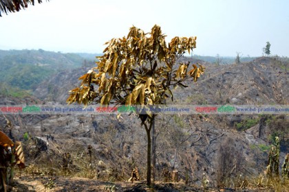 লামায় জুমের আগুনে ব্যাপক ক্ষয়-ক্ষতি