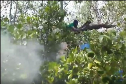 সুন্দরবনের মধু আহরণ মৌসুম শুরু

