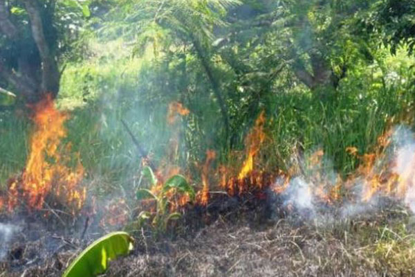 সুন্দরবনে আগুন সন্ত্রাস ঠেকাতে দাহ্য পদার্থ বহনে নিষেধাজ্ঞা