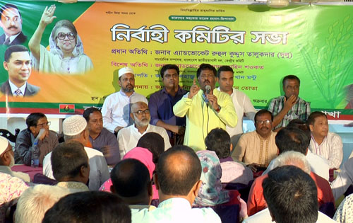 আওয়ামী লীগ দেশের গণতন্ত্রকে পরাজিত করেছে: দুলু