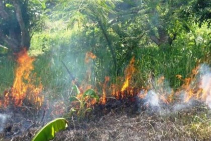 সুন্দরবনে আগুন সন্ত্রাস ঠেকাতে দাহ্য পদার্থ বহনে নিষেধাজ্ঞা