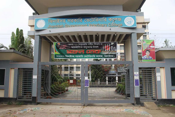 এক মাস ধরে বন্ধ ঝিনাইদহ ভেটেরিনারি কলেজ