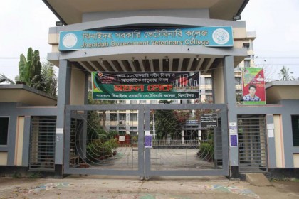 এক মাস ধরে বন্ধ ঝিনাইদহ ভেটেরিনারি কলেজ