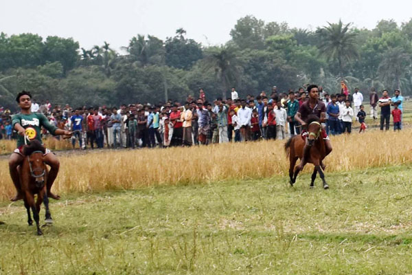 নাটোরে ঘোড়দৌড় প্রতিযোগিতা 

