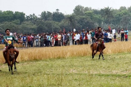 নাটোরে ঘোড়দৌড় প্রতিযোগিতা 

