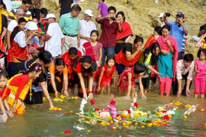 পাহাড়ে ফুলোৎসব