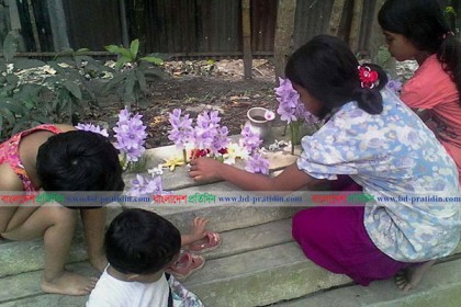 কচুরিপানার ফুলে বিয়ে হল আমের!