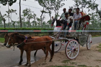 পর্যটকদের বিনোদন দিচ্ছে ‘মহারাজা এক্সপ্রেস’