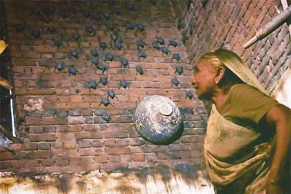 হাজারো বাদুড়ের সঙ্গে দিন কাটে এই নারীর (ভিডিও)