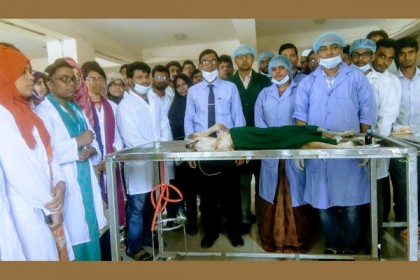 কুকুর বন্ধ্যাকরণ কার্যক্রম শেকৃবিতে

