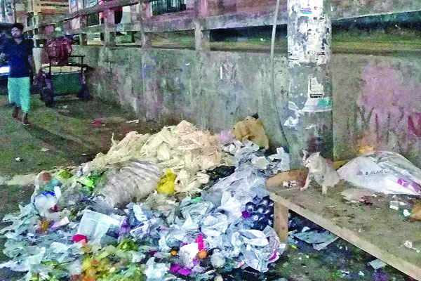 হাসপাতালের সামনেই আবর্জনা!