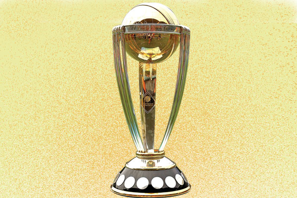 বিশ্বকাপের ১৫ সৈনিক
