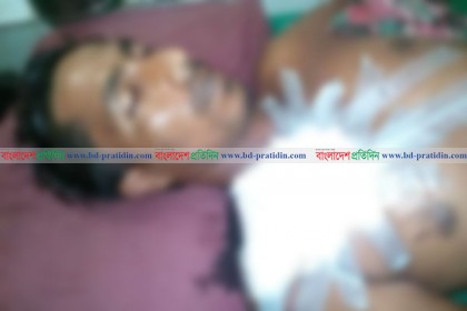 গাছের ডাল কাটার জেরে শৈলকুপায় কুপিয়ে হত্যা, আহত ৬
