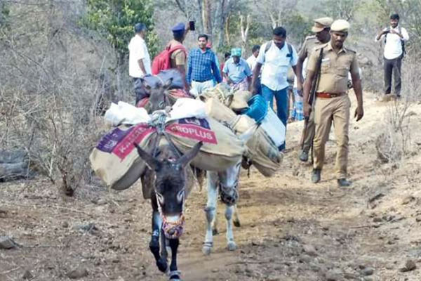 গ্রামবাসীর ভোট দেয়া সম্ভব করেছে চার গাধা!