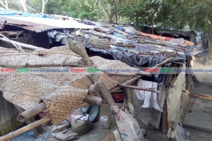 গলাচিপার অধিকাংশ আশ্রয়ন ও আবাসন প্রকল্প বেহাল