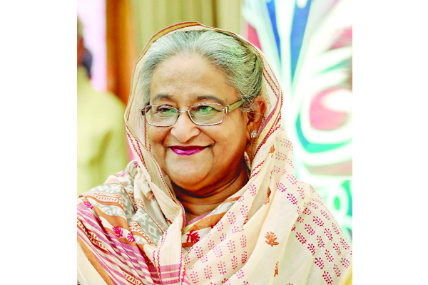 ঢাকায় পৌঁছেছেন প্রধানমন্ত্রী