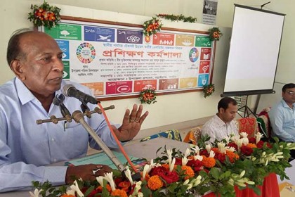 বড়াইগ্রামে টেকসই উন্নয়ন বিষয়ক প্রশিক্ষণ