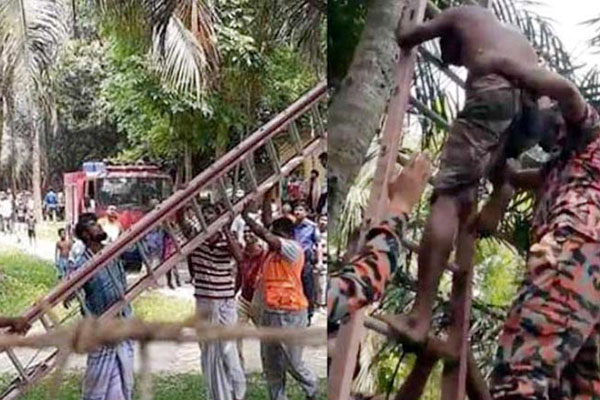 ডাব চুরি করতে গিয়ে বিপত্তি, উদ্ধার করল ফায়ার সার্ভিস