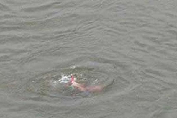 ব্রাহ্মণবাড়িয়ায় পানিতে ডুবে দুই শিশুর মৃত্যু