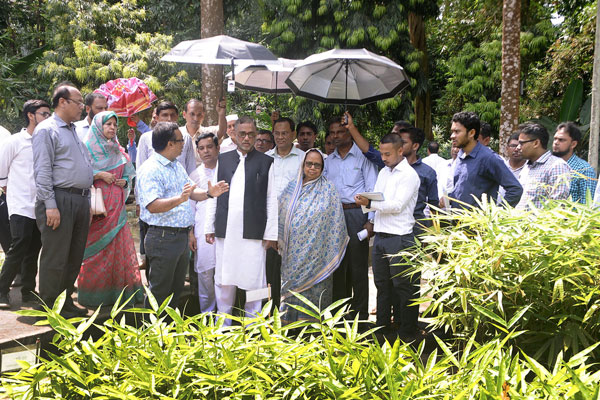 'পরিবেশ সংরক্ষণ করতে হলে বন সংরক্ষণ করতে হবে'

