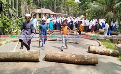 লক্ষ্মীপুরে পিকআপ চাপায় মাদ্রাসাছাত্র নিহত, সড়ক অবরোধ