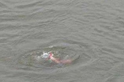ব্রাহ্মণবাড়িয়ায় পানিতে ডুবে দুই শিশুর মৃত্যু
