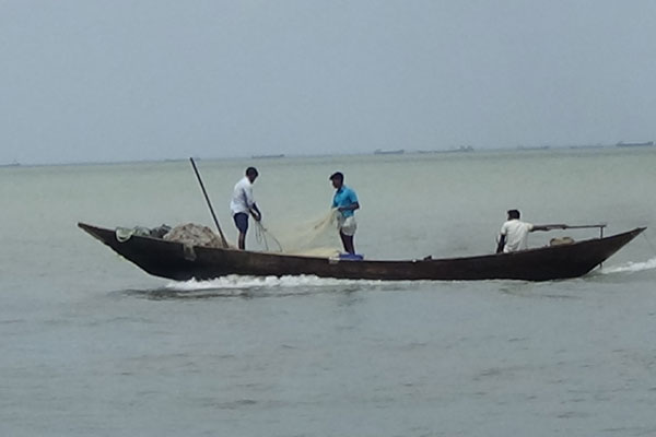 চরফ্যাশনে ইলিশ শিকারে জেলেরা

