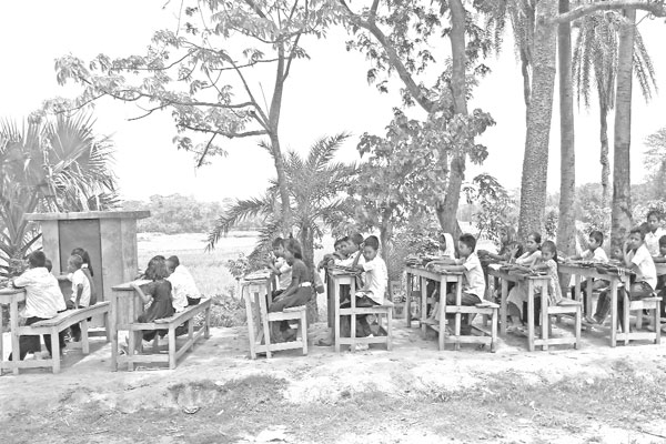 গাছতলায় পাঠদান